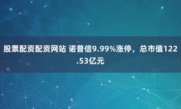 股票配资配资网站 诺普信9.99%涨停，总市值122.53亿元